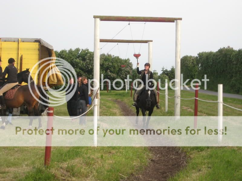 Ringridning :) - Hyggesnak - Heste-Nettet.dk