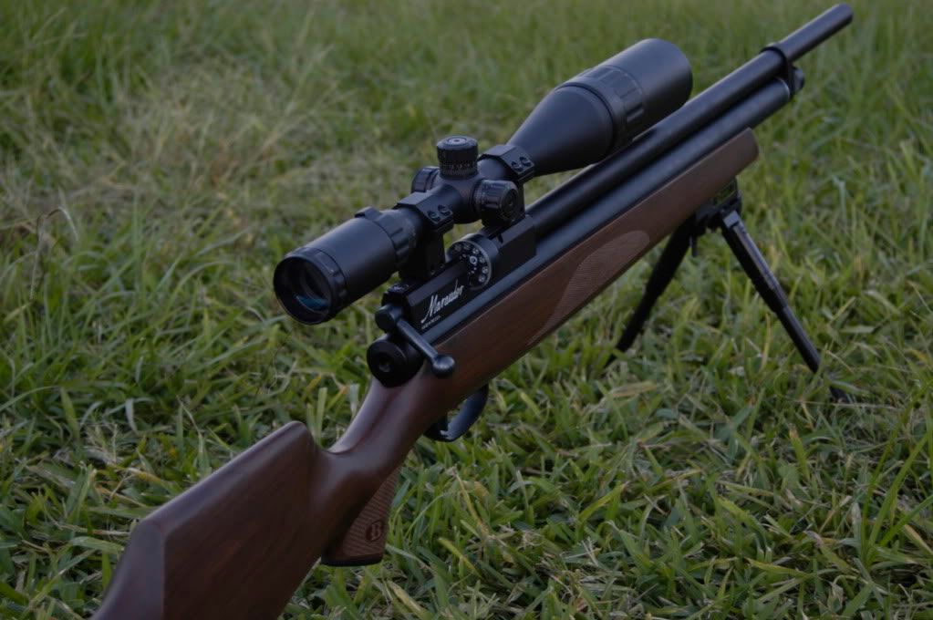 marauder air rifle forums