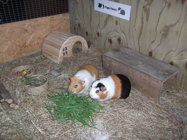 DSCF1413.jpg