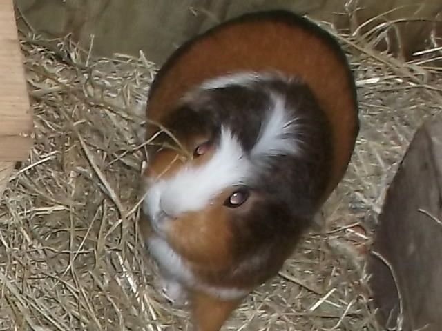 DSCF4309_zpshzrsgukt.jpg