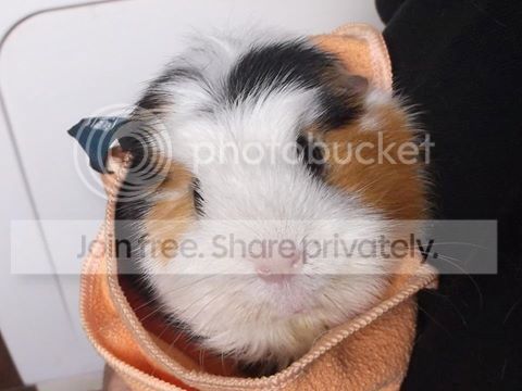 bathtime_zpsaogpdpip.jpg