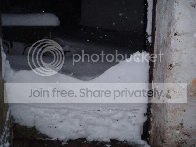 DSCF2265.jpg