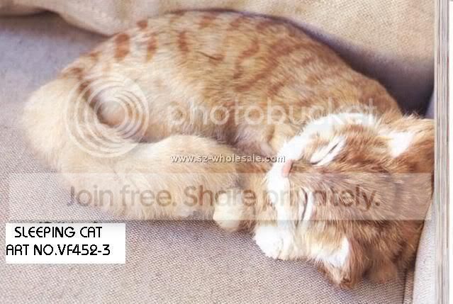 SleepingCatMadewithRabbitFur_942.jpg
