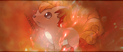 [PokeCommunity.com] Vivaa-kun's Apparently that of a Gallery.